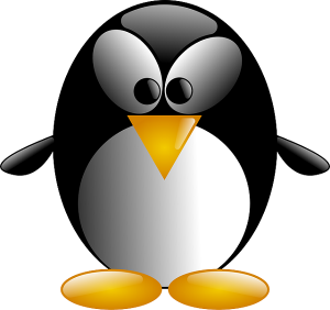 linux